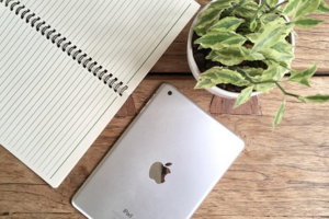 PCとノートと観賞植物