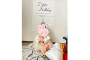 1歳のお誕生会の風景