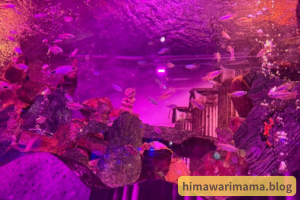 5歳の息子がひらパーの水族館で撮影した画像