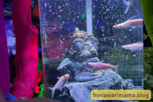 2歳の娘がひらパーの水族館で撮影した画像